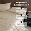 Shilucheng 4-Piece Queen Size Sheets Set，Blend of Rayon Derived from