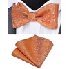 GUSLESON Mens Retro Paisley Self Tied Bow Tie for Wedding