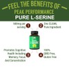 Peak Performance L-Serine Capsules 500mg Best Brain and Nootropic Amino