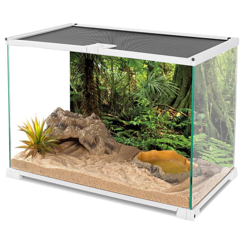 AWERT 72x16 inches Forest Terrarium Background Stone Green Huge Tree