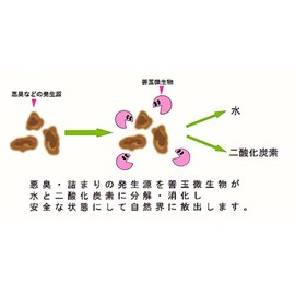 Bio Deodorizer, Bimick Series, Bimick Sink, 10.1 fl oz (300 ml)