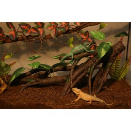 AQUA KT Reptile Climbing Branch Tree Trunk with Leaves for Lizard Bearded Dragon Snake Gecko Leopard Chameleon Frog Climbing Rainforest Terrarium Habitat Decoration