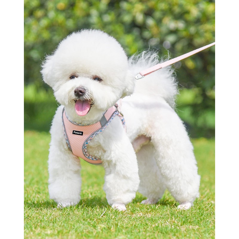 Petank Dog Harness for Small Medium Dogs No Pull, Puppy