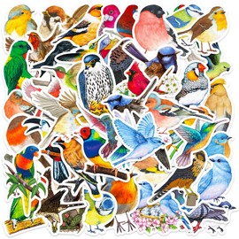DothRayan 100 Pcs Birds Stickers Cute Bird Animals Stickers, Vinyl Waterproof Birds Sticker for Kids Teen Water Bottles Laptop Luggage Phone Skateboard Computer Refrigerators