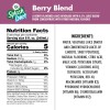 Campbell Soup Company V8 Splash Diet Berry Blend Flavored Juice
