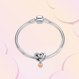 Annmors Love Family Charm 925 Sterling Silver Beads Dangle Charm,Compatible with European Bracelet and Necklace,Birthday Mother's Day Gifts for Women Wife