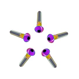 RISON Pack of 5 Titanium Rounded Head Screws with Hexagon Socket M5 x 25 mm, Full Thread/Partial Thread Half Round Head Screw Made of Titanium GR5, Flat Head Screw Lens Screw Button Screw Round Head