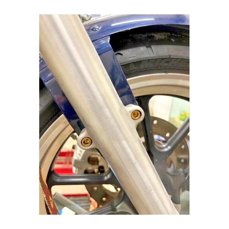 DIY 4 Harley Sportster SOLID BRASS Front Fender Bolts chopper