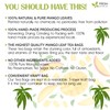 40 Natural Mango Leaf Tea Bags, 100% Pure from Mango