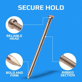 Panel Pins 50mm Finishing Nails Veneer Pin (Pack of 100) Yellow Zinc Plated Nail Galvanized Heavy Duty for DIY and Crafts Home Decor Woodwork Furniture Construction (50mm x 2.5mm)