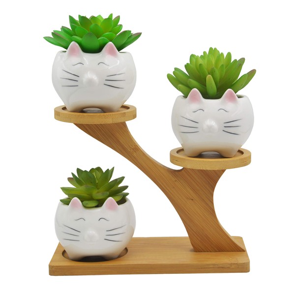 3 PCS Set Cute Animal Cat Shaped Ceramic Succulent Cactus