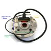 Stator Assy Made in Italy Ignition Coil for Stihl Chainsaw