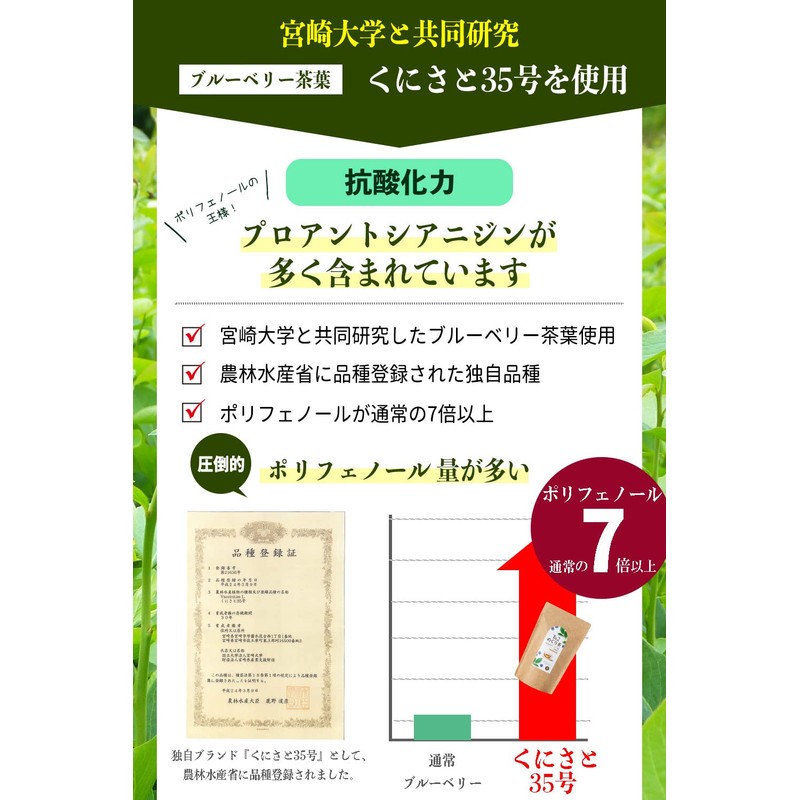 くにさと35号のど飴 のど飴 ノンシュガー エキナケア [ 甘味料 砂糖 不使用 ] バンランコン