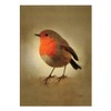 Vintage Robin Christmas Cards - Pack of Ten - One