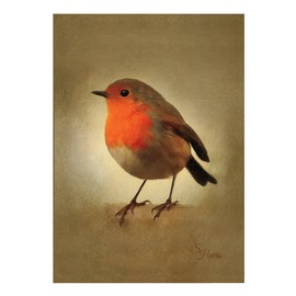 Vintage Robin Christmas Cards - Pack of Ten - One Design