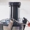 Oster Easy-to-Clean Professional Juicer, Stainless Steel Juice Extractor, Auto-Clean Technology,