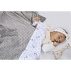Vulli Sophie and Nap 2 Piece Set (Sophie + Blanket)