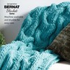 Bernat Blanket Extra - 2 pack of 97 Yards/10.5 oz