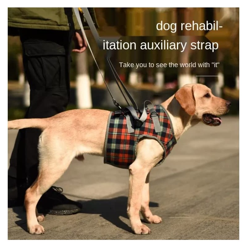 XTrador Dog Harness Walking Aid for Dogs Especially for Problems