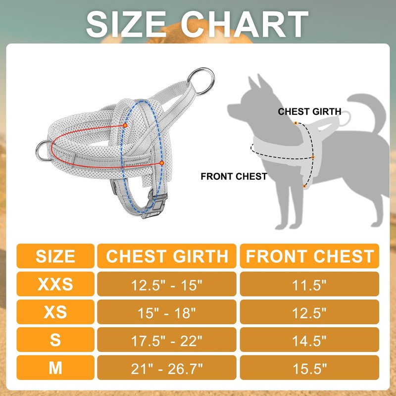 BEAUTYZOO Dog Harness for Small Dogs, No Pull Dog Harness