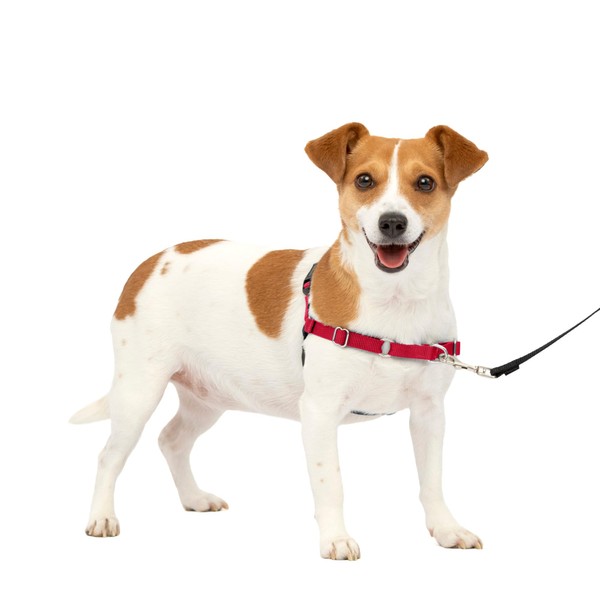 PetSafe Easy Walk No-Pull Dog Harness - The Ultimate Harness