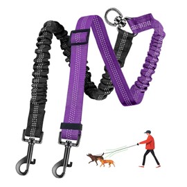 LEOSASA Double Dog Leash - 360°Swivel Tangle Free Splitter Attachment, 2 Dogs Multi-Functional Leashes, Dual Rope for Outdoor Walk Train Small Medium Large Two Pet, Purple