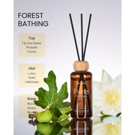 M&SENSE Forest Bathing Reed Diffuser Set - 6.3 fl oz Fig & Lotus Scented Diffuser with Long-Lasting Fragrance, Non - Toxic Natural Essential Oil Diffuser for Office Shelf Decor & Stress Relief