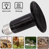 AIICIOO Terrarium Heat Lamp in Permanent Quality Ceramic Reptiles Heat