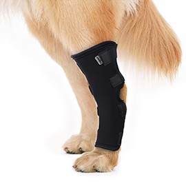 CROCHEN Rear Leg Brace for Small Dogs and Cats After Surgery Wear Hip and Thigh Wound Protective Sleeve (Long Leg Dog, Large)