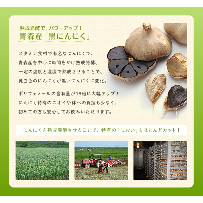 太陽卵 卵黄油 黒にんにく [ 1袋 × 60粒 ] にんにく卵黄 卵油