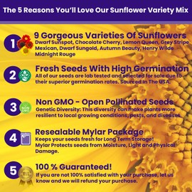 NatureZ Edge NatureZ Edge 1300+ Sunflower Seeds Garden Variety Pack, Bulk Sunflower Seeds for Planting Flowers, Get More Sunflower Seeds to Plant, Mammoth, Dwarf, Lemon Queen, Giant and More. 2oz Packet