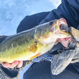 FOLANDO 10pcs Barbed Fishing Hooks, Ice Fishing Jigs Ice Fishing Lures Fish Hooks Carbon Steel Hooks for Saltwater Freshwater Fishing Accessories 1g G15