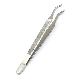 OdontoMed2011 Extraction TWEEZER ALBERTCH 16CM Stainless Steel ODM
