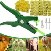 100 Aretes Para Cerdo Cabra Ganado Numeros Láser Con Pinza