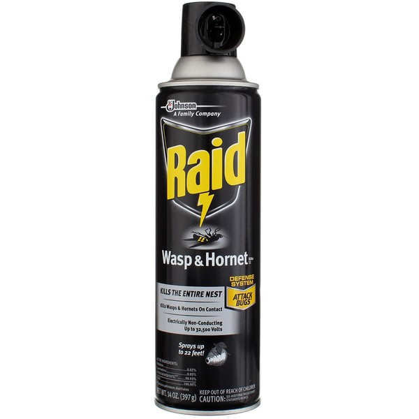 Raid Wasp & Hornet Killer Spray 14 oz (Pack of 5)