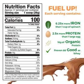 Growing Naturals | Chocolate Raw Pea Powder 16g Plant Protein | 2.8G BCAA, Low-Carb, Low-Sugar, Non-GMO, Vegan, Gluten-Free, Keto & Food Allergy Friendly | Chocolate Power (15.8 Ounce (Pack of 1))