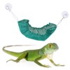 Kisangel Hanging Hammock Bed Reptile Seaweed Toy Swing Toy Safe