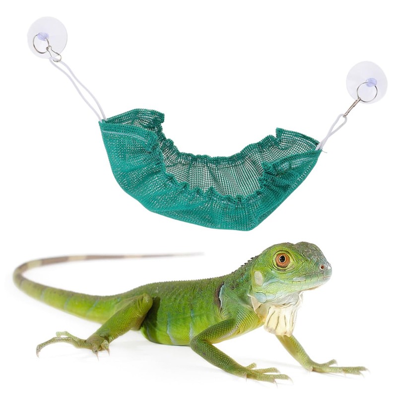 Kisangel Hanging Hammock Bed Reptile Seaweed Toy Swing Toy Safe