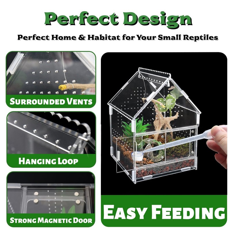 Acrylic Jumping Spider Enclosure with Magnetic Front Door - 360°
