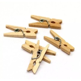 CANAPE KING Mini Wooden Pegs - 100Pcs Natural Biodegradable Food Labels Tiny Pegs Craft Clips 2.5cm - For Hanging Photo Display Decoration