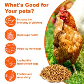 DOTUHAO Dried Black Soldier Fly Larvae 2 LB,Chicken Feed, Hamster Food,More Calcium Than Dried Mealworms High-Protein Chickens Treats, Food for Wild Birds, Ducks, Layer Hens(2 LB)