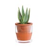 D'vine Dev 4 Inch Design Self Watering Pot for Indoor