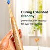 Sonic Electric Bamboo Toothbrush for Adults - Bamboo Design with