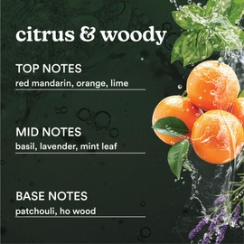 Homedics SereneScent Mandarin & Basil Home Fragrance Oil, 15 ml, for use with Homedics SereneScent Mini Waterless Diffuser (ARMH-680), Clean & Natural Everyday Collection