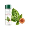 Biotique Basil and Red Sandal wood Body Talc 180gms by