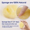 13PCS Natural Small Medium Hermit Crab Shells with Sea Sponge