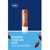 Vaseline Lip w/o Backer Card Cocoa - 12 Pack Box