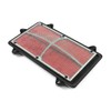 Hiflo HFA3903 Air Filter