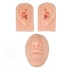 3D Nose and Mouth Model Silicone Ear Model Simulation Display