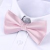 HISDERN Bow Tie Men's Already Tied Adjustable Bow Plain Paisley